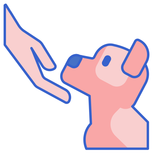 Adiestrador Canino Económico